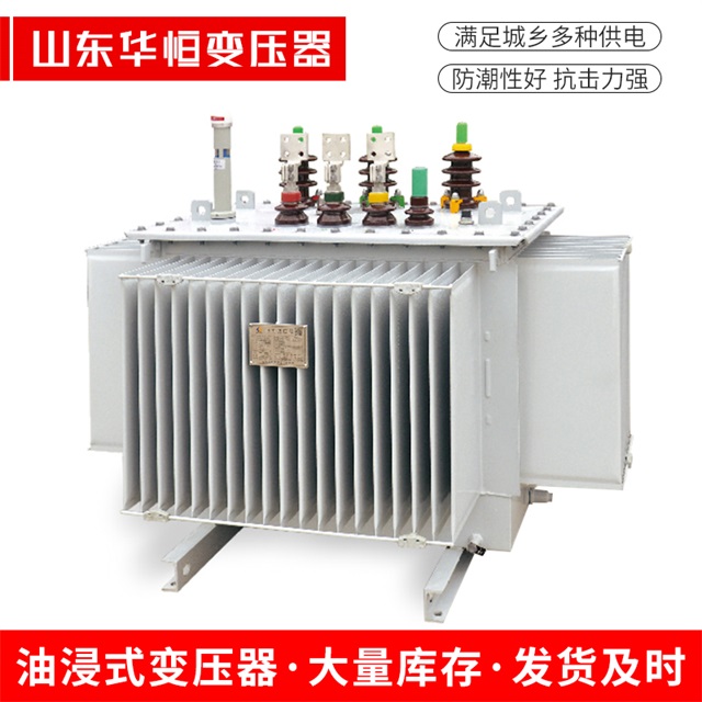 S13-10000/35儋州儋州儋州电力变压器